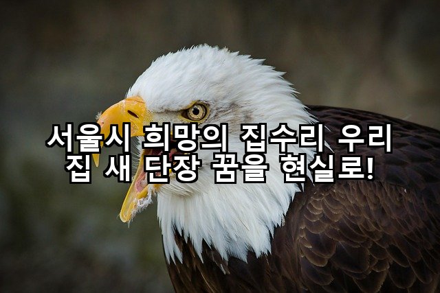 서울시 희망의 집수리 우리 집 새 단장 꿈을 현실로!