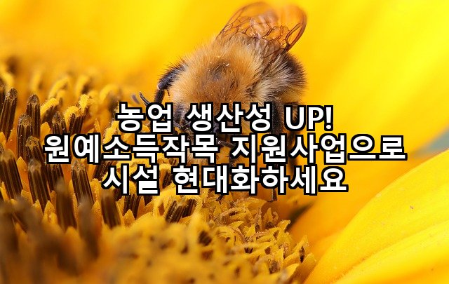농업 생산성 UP! 원예소득작목 지원사업으로 시설 현대화하세요